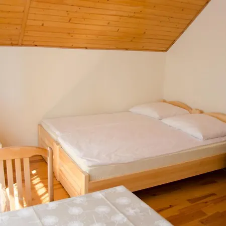 Dominik Проживание в семье